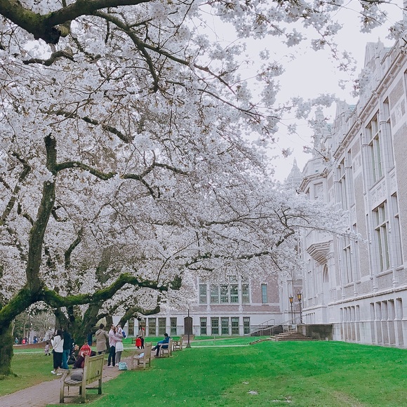 Meet your Posher, Evelyn - Picture 1 of 1